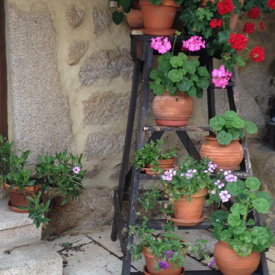 Quinta Damigo Guest House Сейя Екстериор снимка